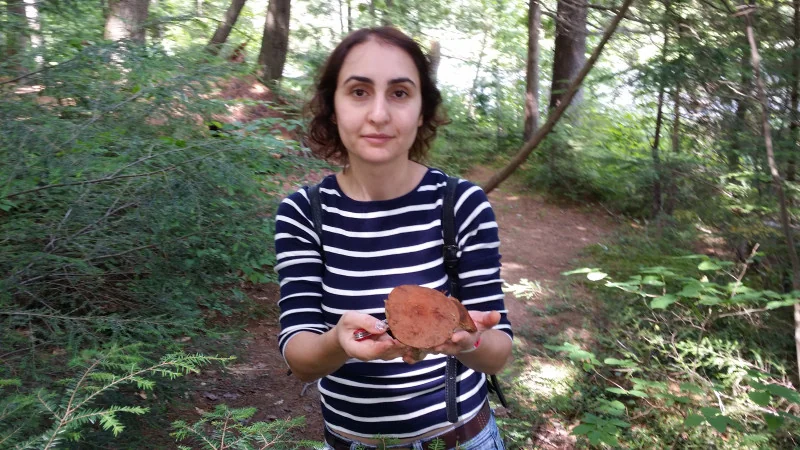 Сегодня: учёный, исследователь, популяризатор науки